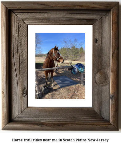 horse trail rides near me in Scotch Plains, New Jersey